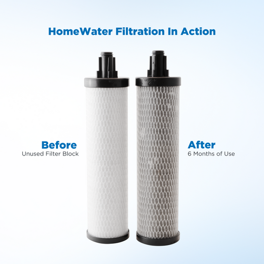 HomeWater EZChange Direct Connect Chlorine Filter